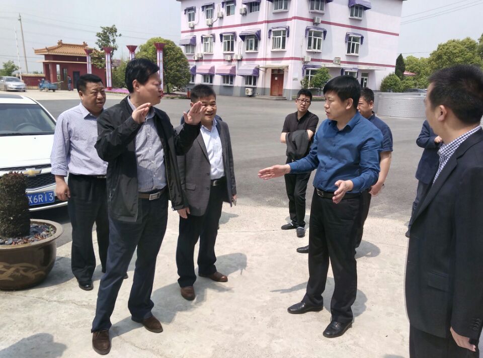 国家林业局调研句容市林场